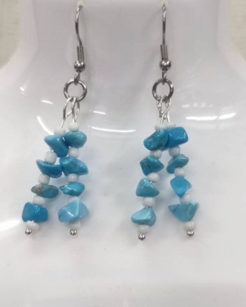 2  α  σκουλαρικια μακρια chips (1)